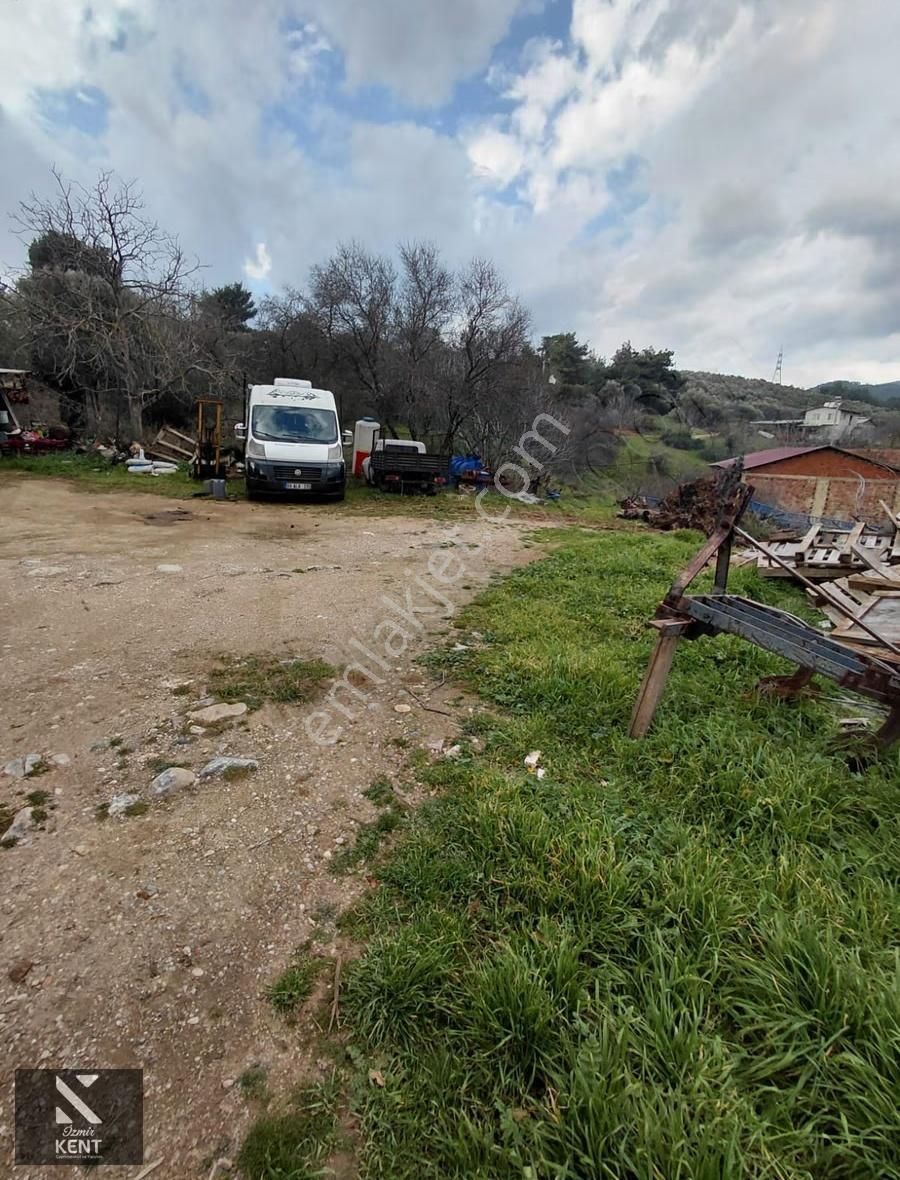 Kemalpaşa Ansızca'da Köy Merkezinde İmarlı 532 M2 Arsa - Görsel 10