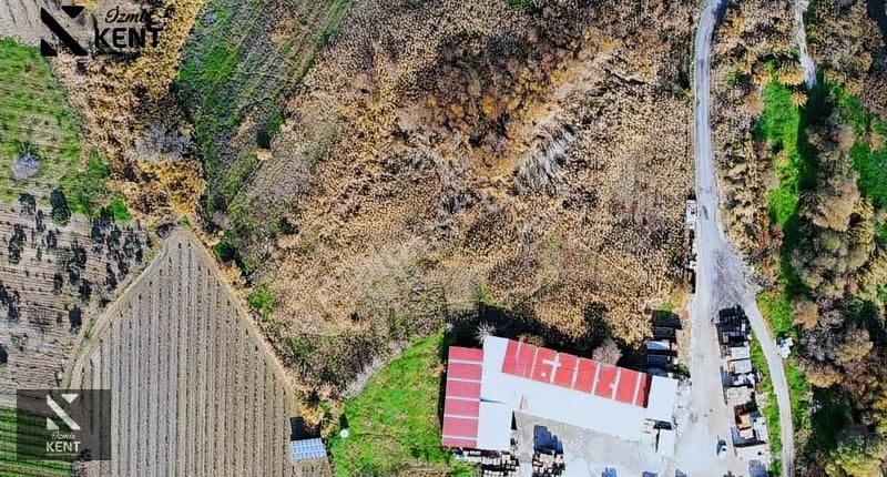 Kemalpaşa Ören 75. Yıl Satılık 5.742 M2 Arazi - Görsel 3