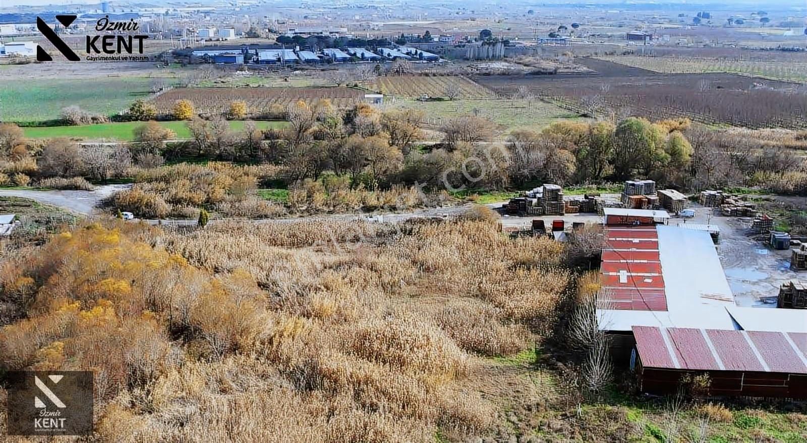 Kemalpaşa Ören 75. Yıl Satılık 5.742 M2 Arazi - Görsel 8