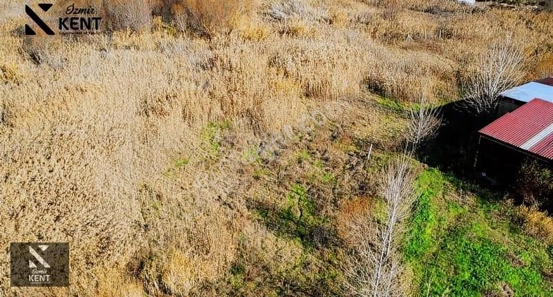 Kemalpaşa Ören 75. Yıl Satılık 5.742 M2 Arazi - Görsel 5