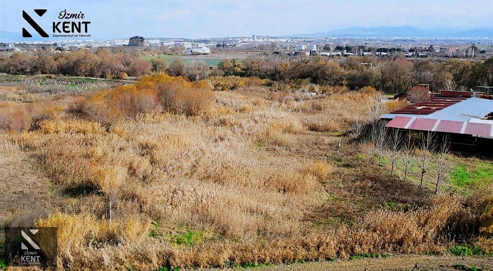 Kemalpaşa Ören 75. Yıl Satılık 5.742 M2 Arazi - Görsel 10
