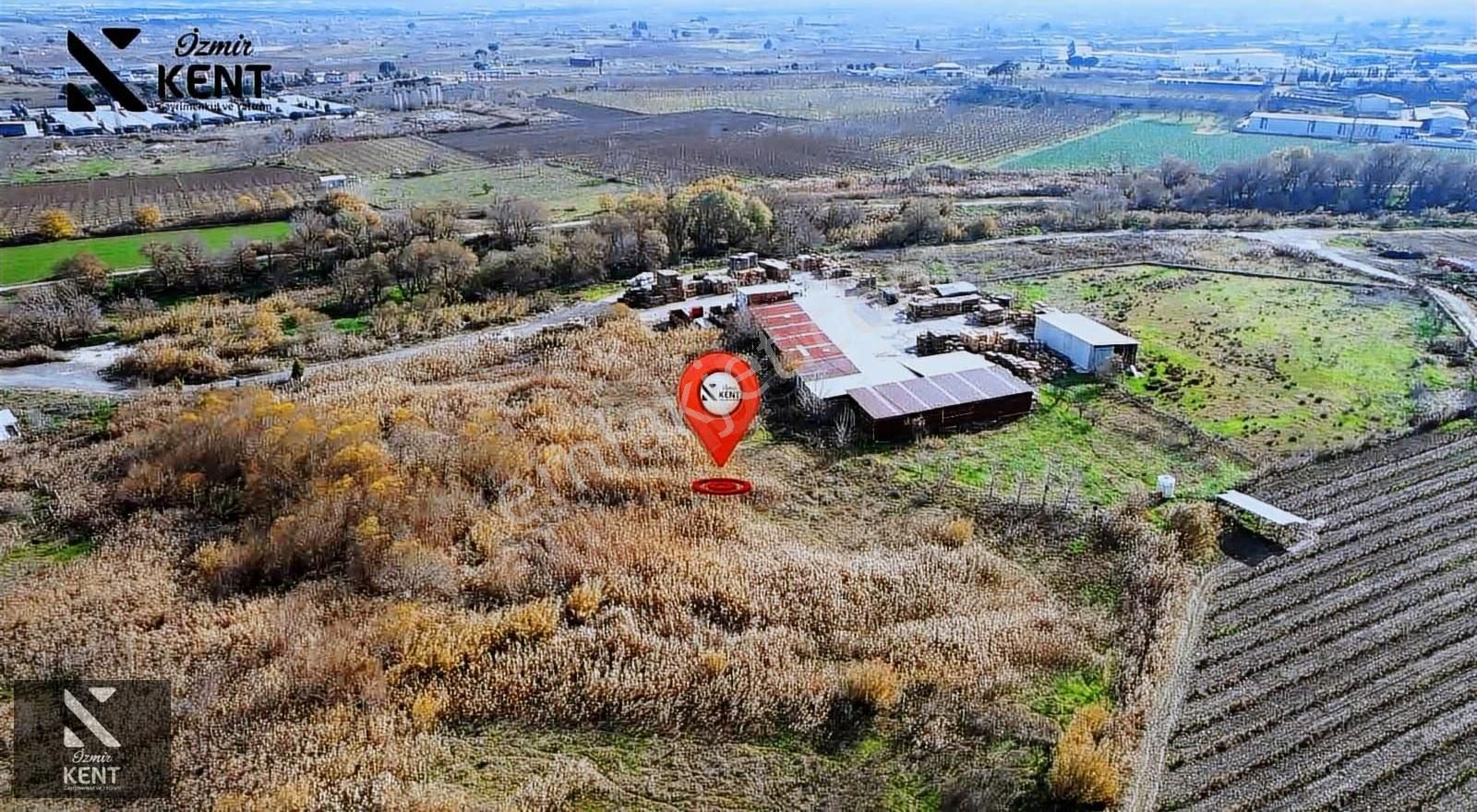 Kemalpaşa Ören 75. Yıl Satılık 5.742 M2 Arazi - Görsel 4