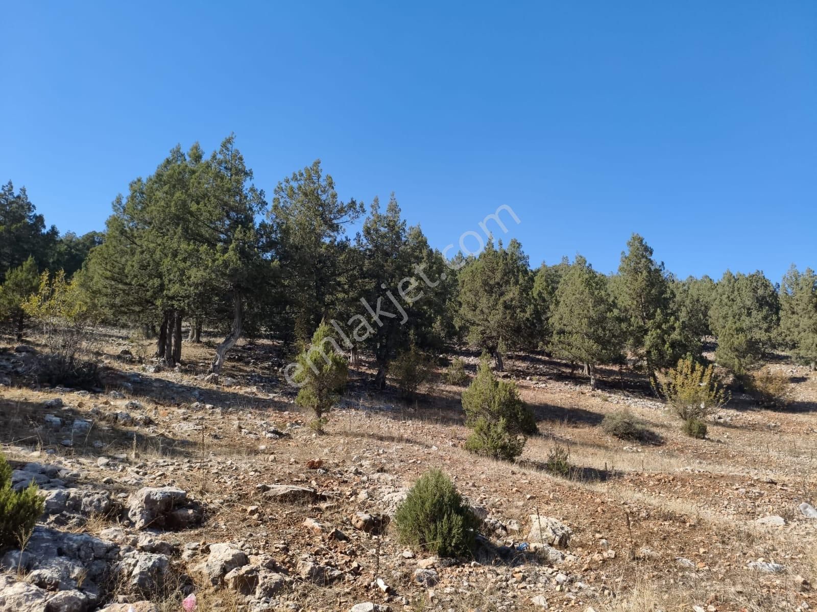 Kar Emlaktan Akçatekir Nohutlukta 675 M2 Ticari Konut Arsa - Görsel 4