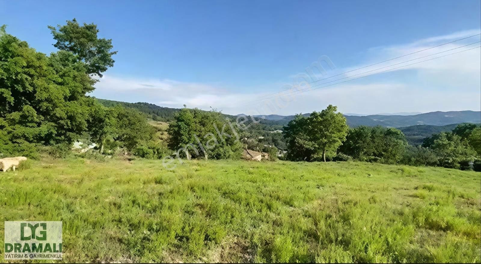 Kazdağları Eteklerinde | Köyiçi | Yola Cepheli | 350 M² İmarlı - Görsel 4