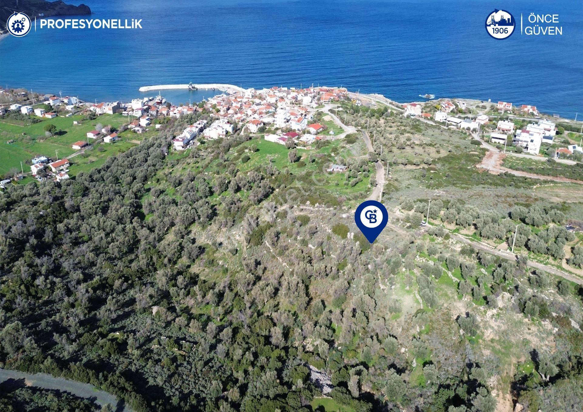 Karaburun Tepeboz Mahallesi'nde Deniz Manzaralı 4117 M² Tarla - Görsel 5