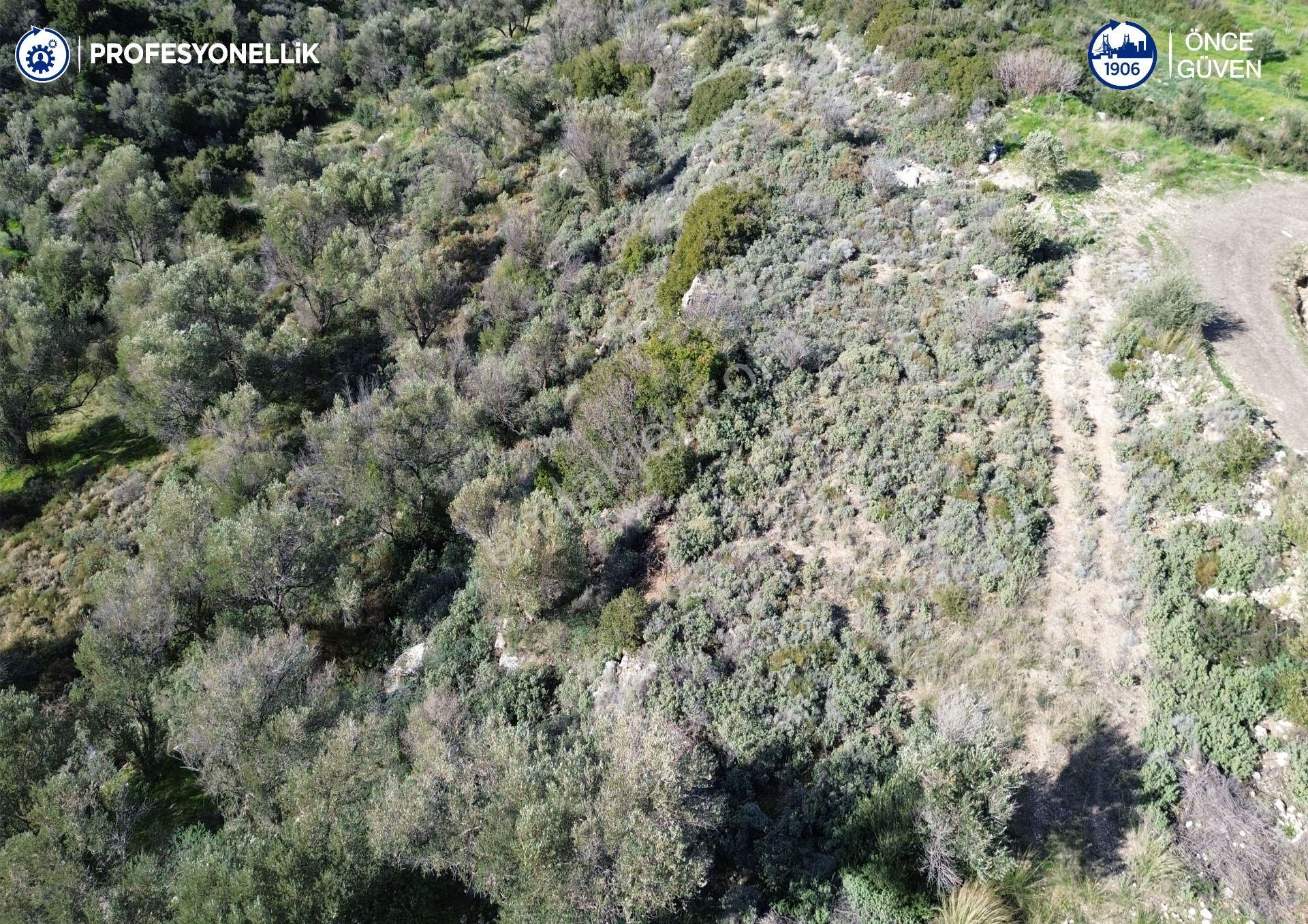 Karaburun Tepeboz Mahallesi'nde Deniz Manzaralı 4117 M² Tarla - Görsel 10