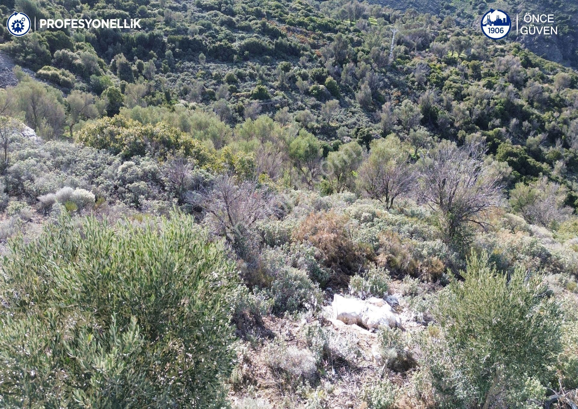 Karaburun Tepeboz Mahallesi'nde Deniz Manzaralı 4117 M² Tarla