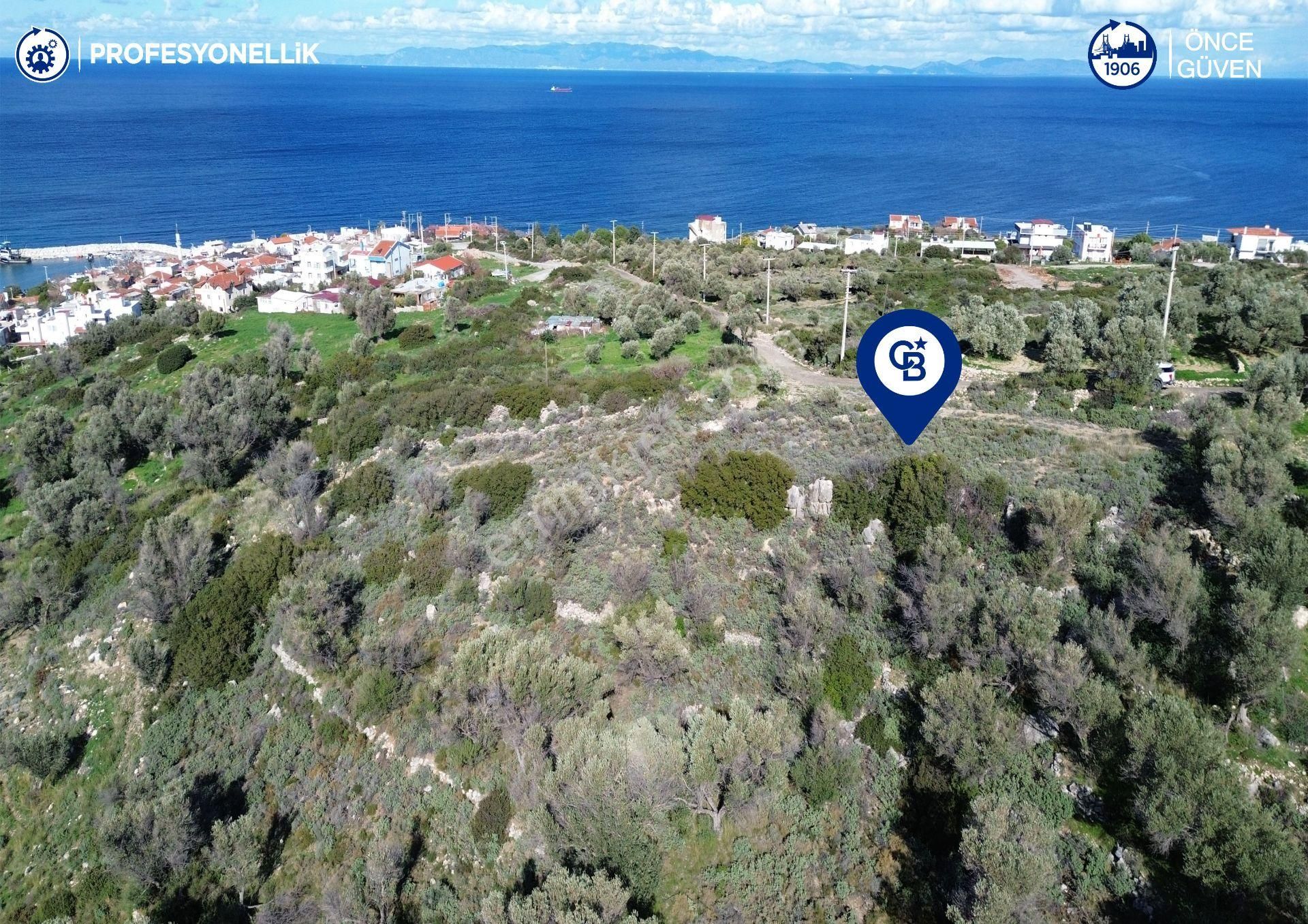 Karaburun Tepeboz Mahallesi'nde Deniz Manzaralı 4117 M² Tarla - Görsel 12