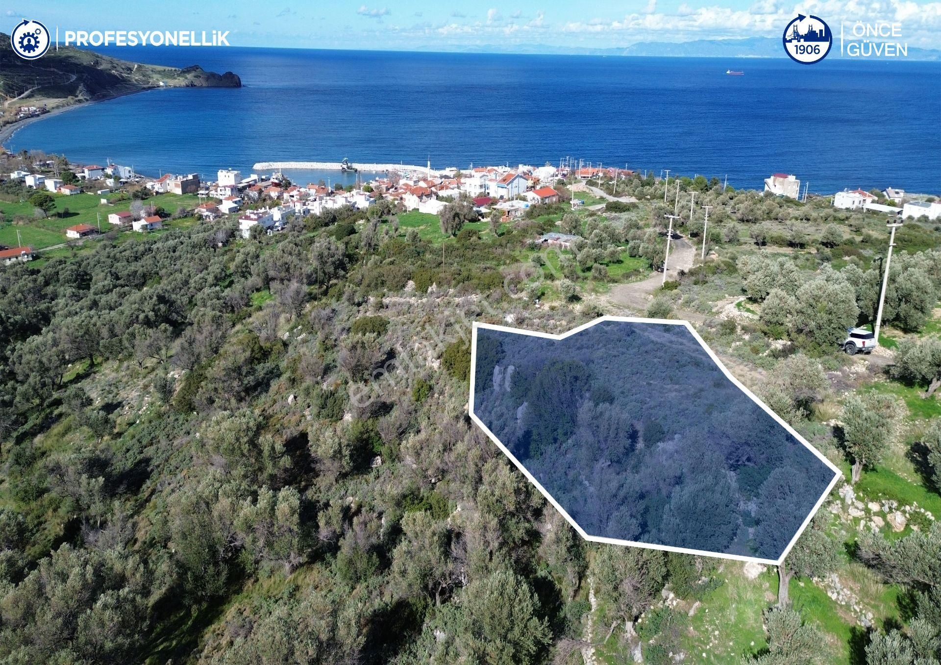 Karaburun Tepeboz Mahallesi'nde Deniz Manzaralı 4117 M² Tarla - Görsel 16