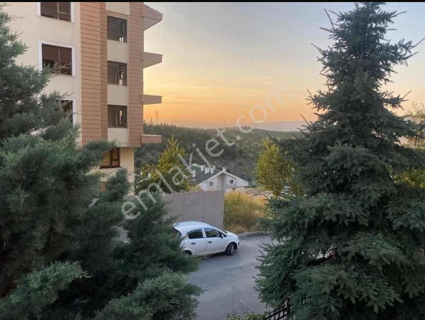 Dikmen Akpınar'da 1.kat 4+1 Orman Manzaralı Daire - Görsel 14