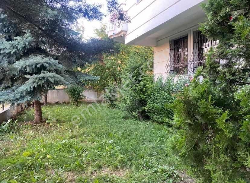 Dikmen Akpınar'da 1.kat 4+1 Orman Manzaralı Daire - Görsel 31