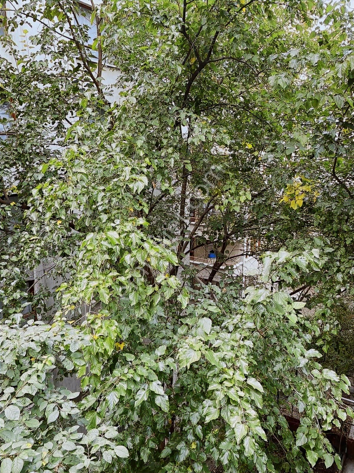 Çankaya Gop Çiçekdağ Sok.da 3+1 Full Yapılı Otoparklı Merkezi - Görsel 15