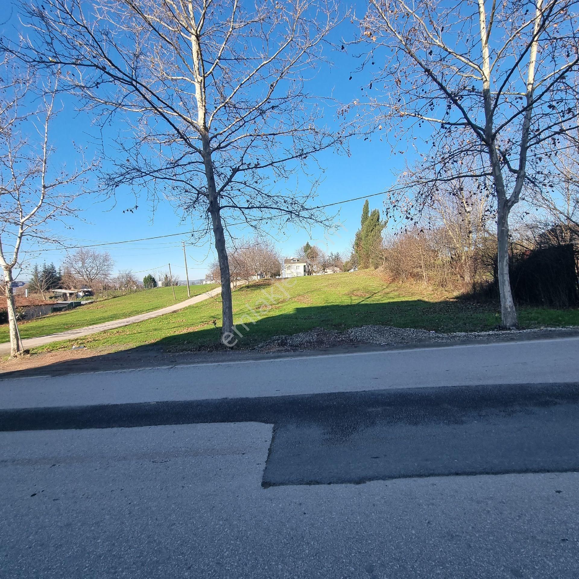 Kocaeli Serdarmahallesi Cadde Cepheli Satılık Arsa - Görsel 7