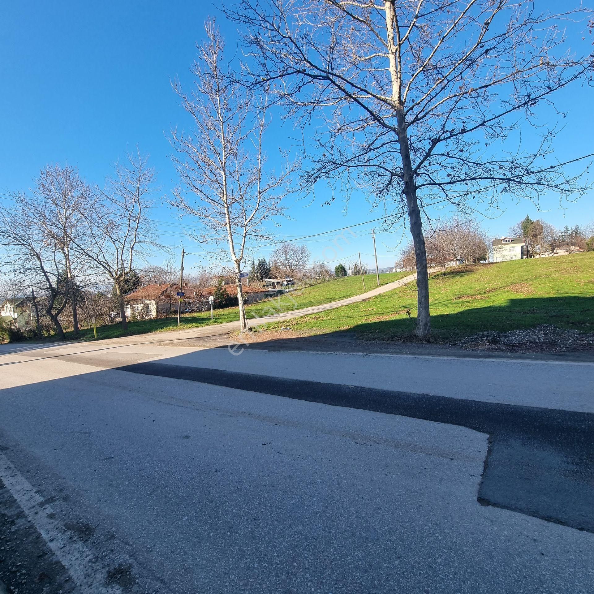 Kocaeli Serdarmahallesi Cadde Cepheli Satılık Arsa - Görsel 10