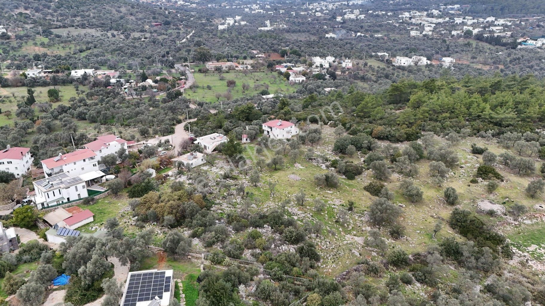 Bodrumda Sessiz Sakin Huzurlu Yaşamın Olduğu Kızılağaçta Fırsat - Görsel 8