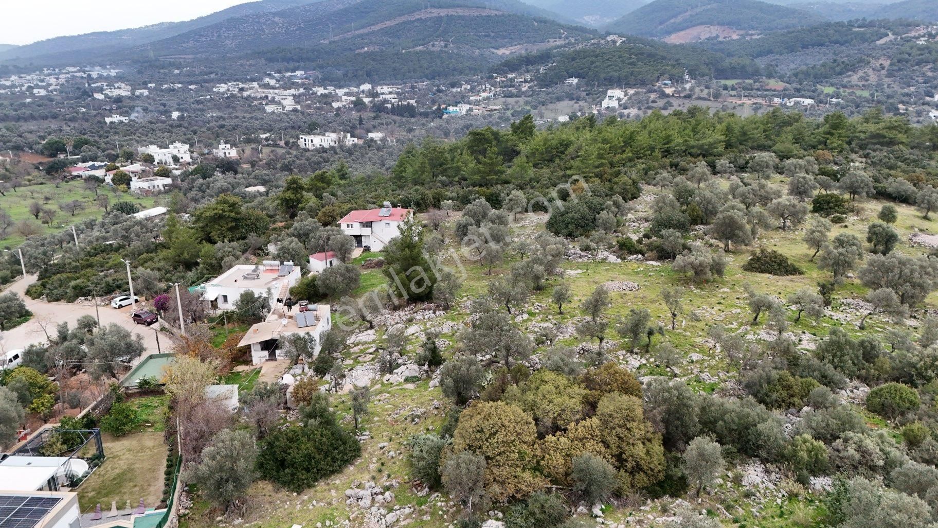 Bodrumda Sessiz Sakin Huzurlu Yaşamın Olduğu Kızılağaçta Fırsat - Görsel 10