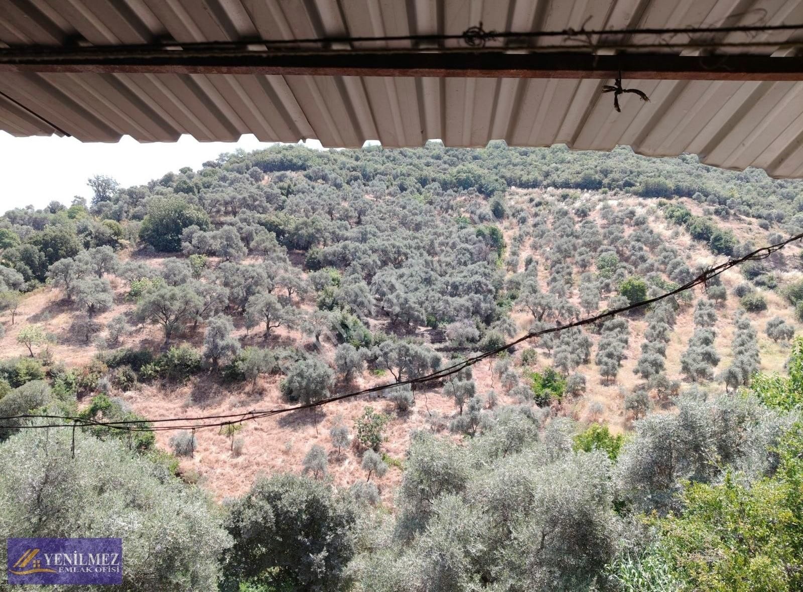 Kentsel Dönüşümü Uygun Köy Evi.. - Görsel 13