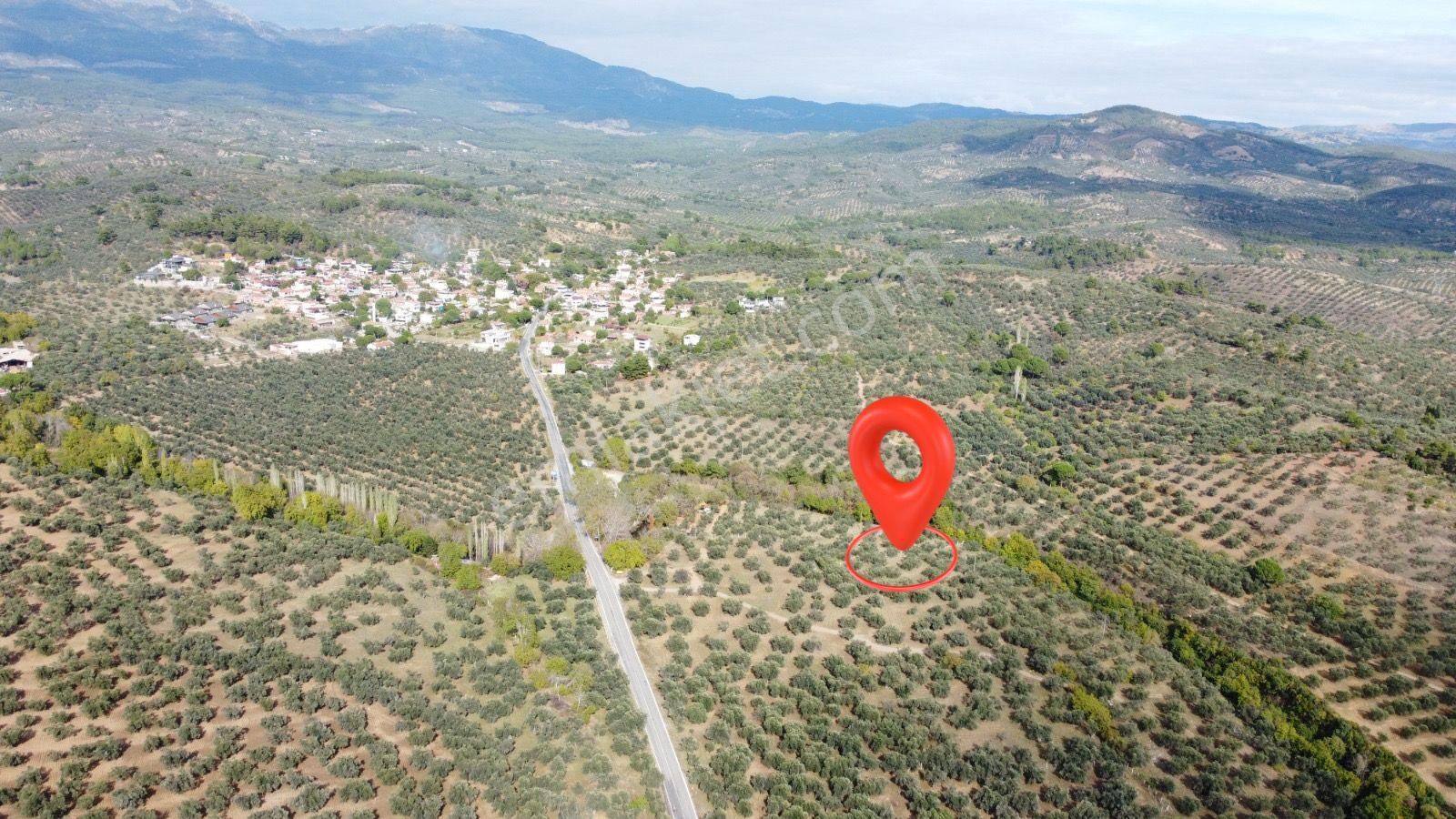 ▀▄mera Emlaktan Tuzcumurat Mah. Dereye Cephe Emsalsiz Zeytinlik - Görsel 31