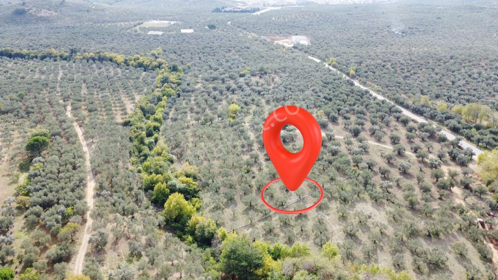▀▄mera Emlaktan Tuzcumurat Mah. Dereye Cephe Emsalsiz Zeytinlik - Görsel 22