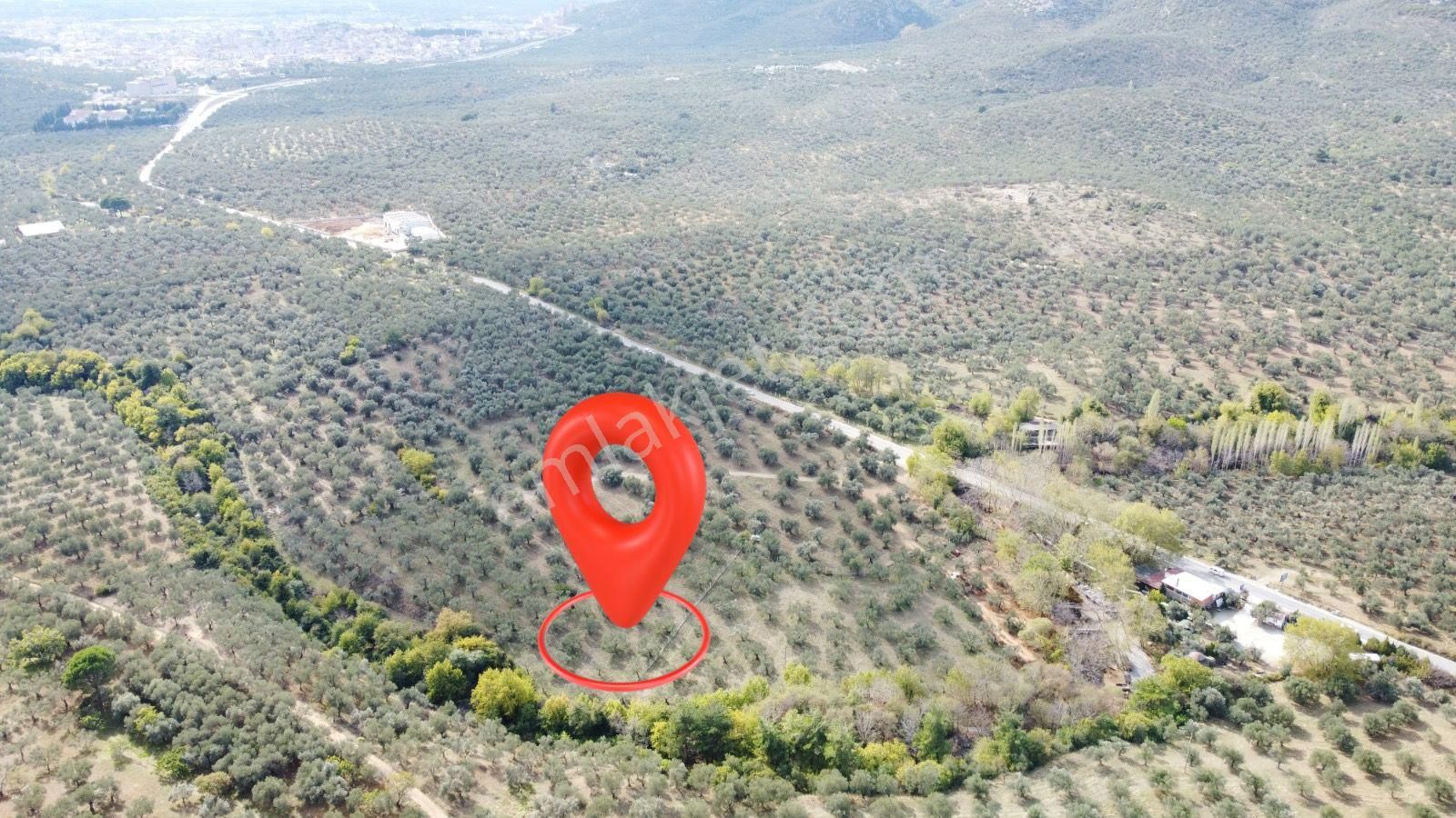 ▀▄mera Emlaktan Tuzcumurat Mah. Dereye Cephe Emsalsiz Zeytinlik - Görsel 5
