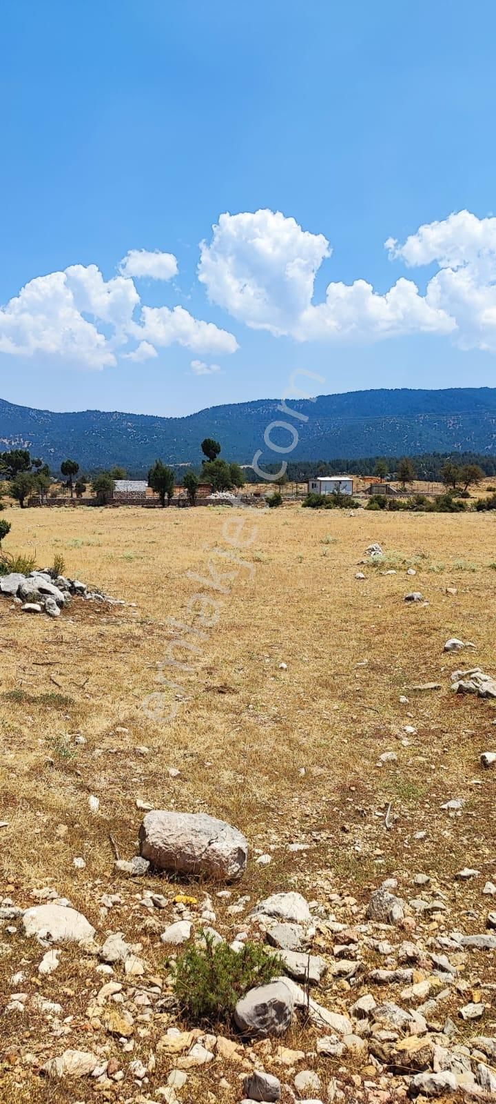 Sahibinden 1.706 M2 Tek Tapu Karabel-y.ceylan Satılık - Görsel 2
