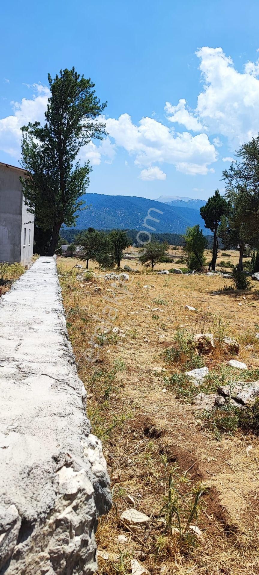 Sahibinden 1.706 M2 Tek Tapu Karabel-y.ceylan Satılık