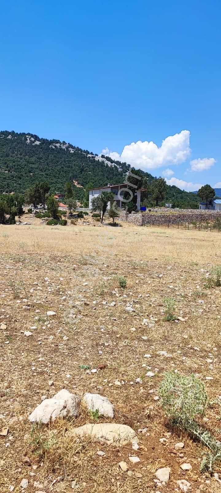Sahibinden 1.706 M2 Tek Tapu Karabel-y.ceylan Satılık - Görsel 4