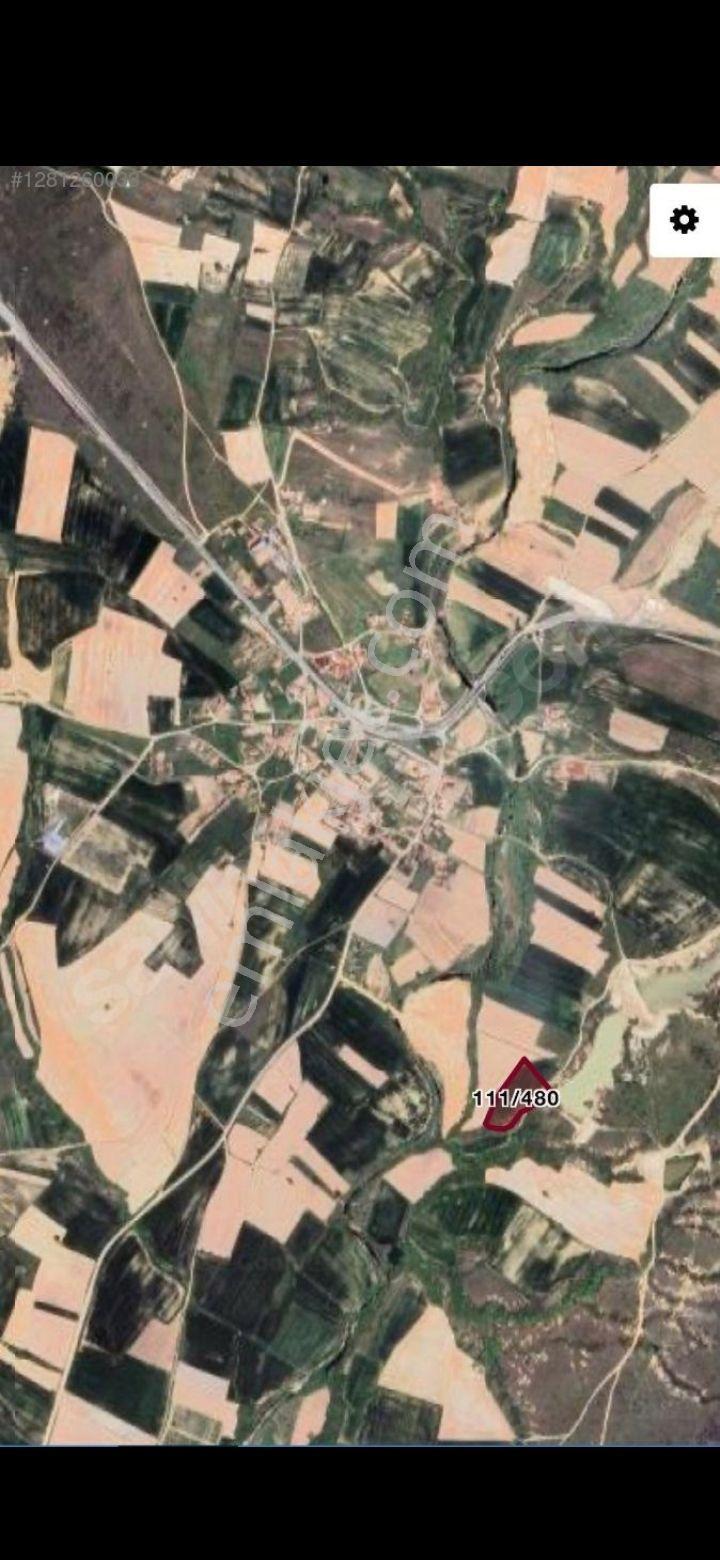 Üsküpdere Fırsat Araz - Görsel 4