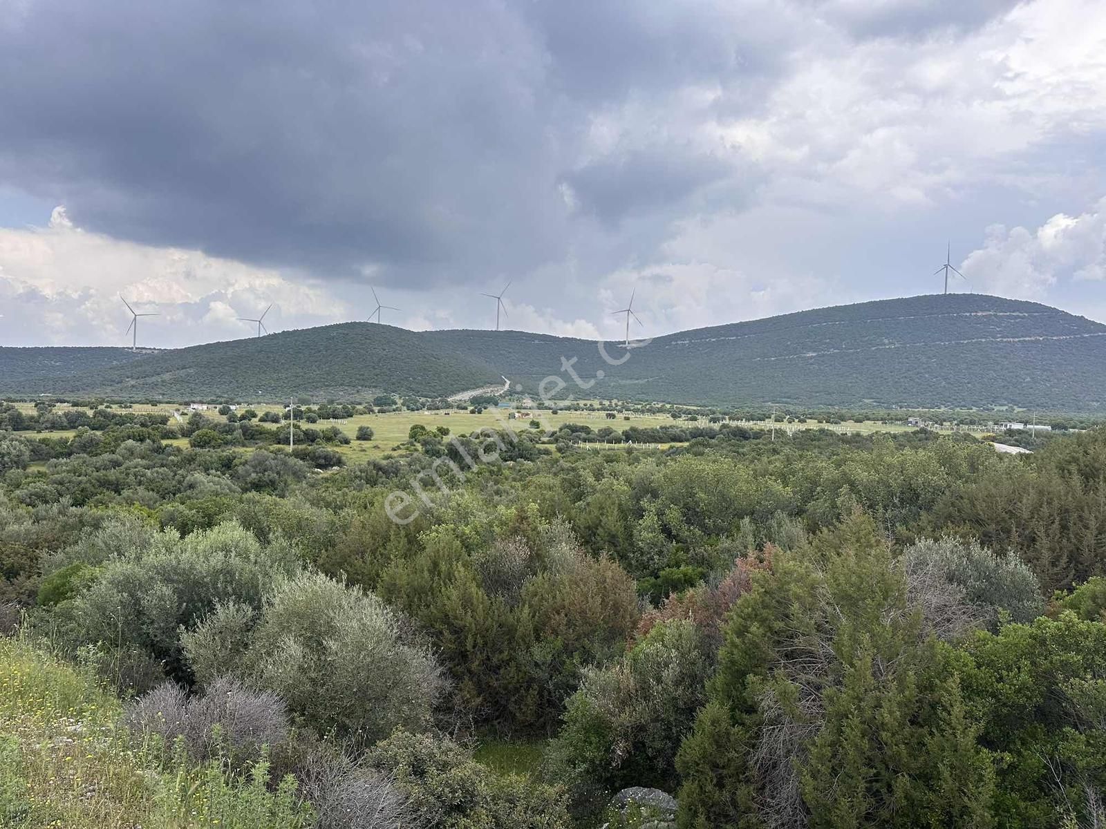 4 Tarafı Yol 615m2 Satılık Ticari+konut Arsa - Görsel 6