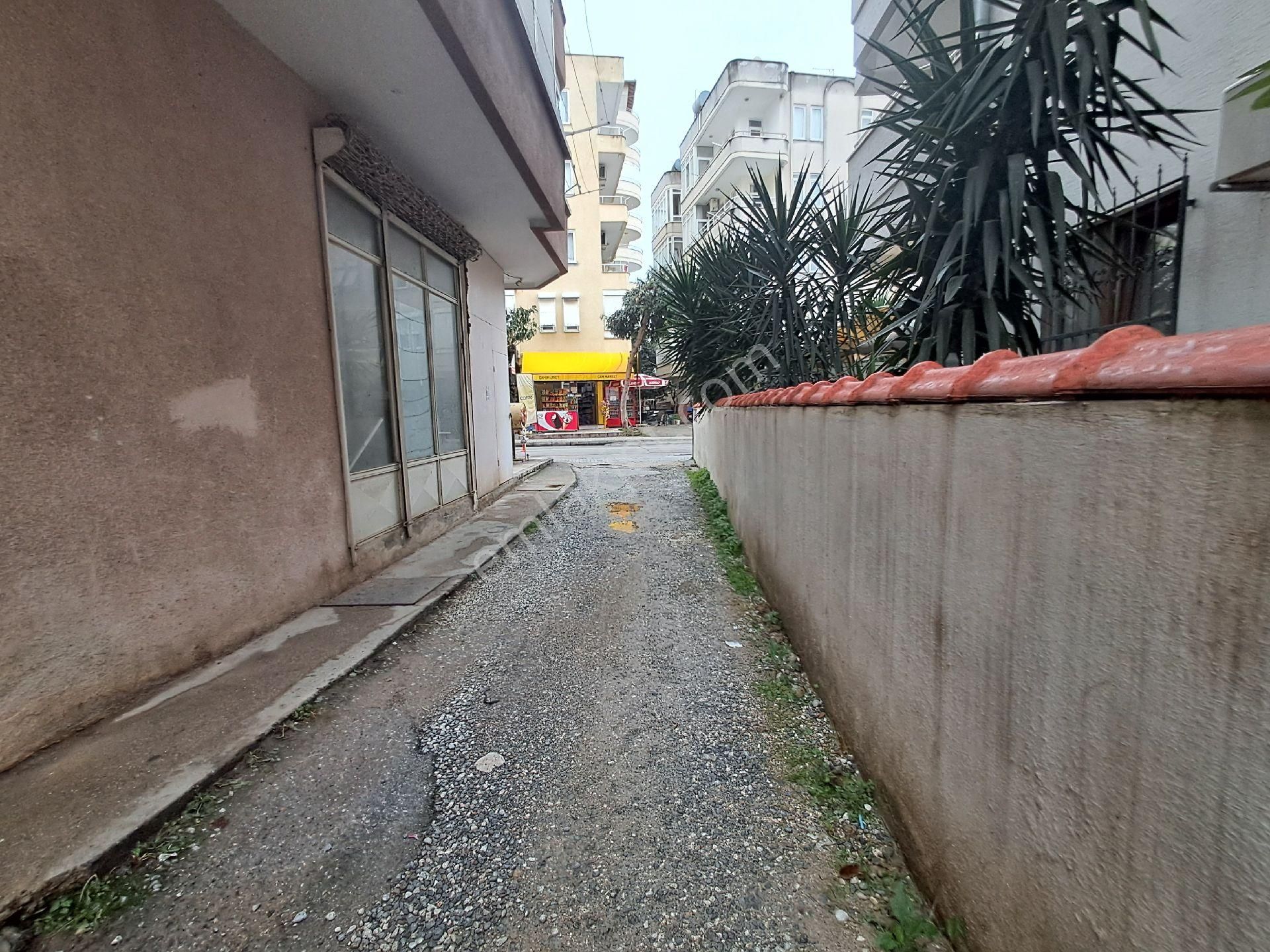 2+1 Ayrı Mutfak - Görsel 19