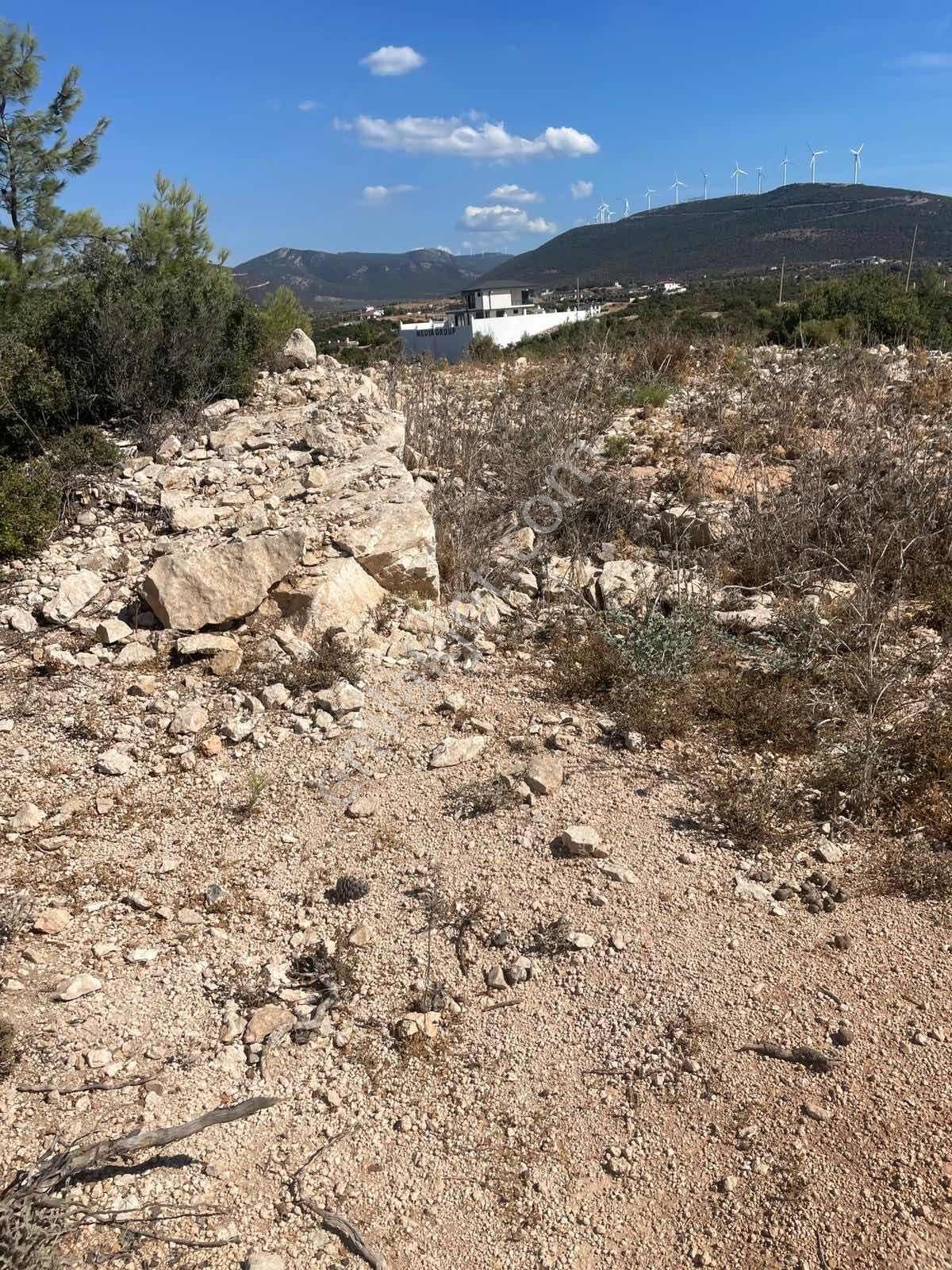 Didim Akyeniköy Bodrum Yolu Üzerinde Toki Evleri Yanında 600m2 - Görsel 7