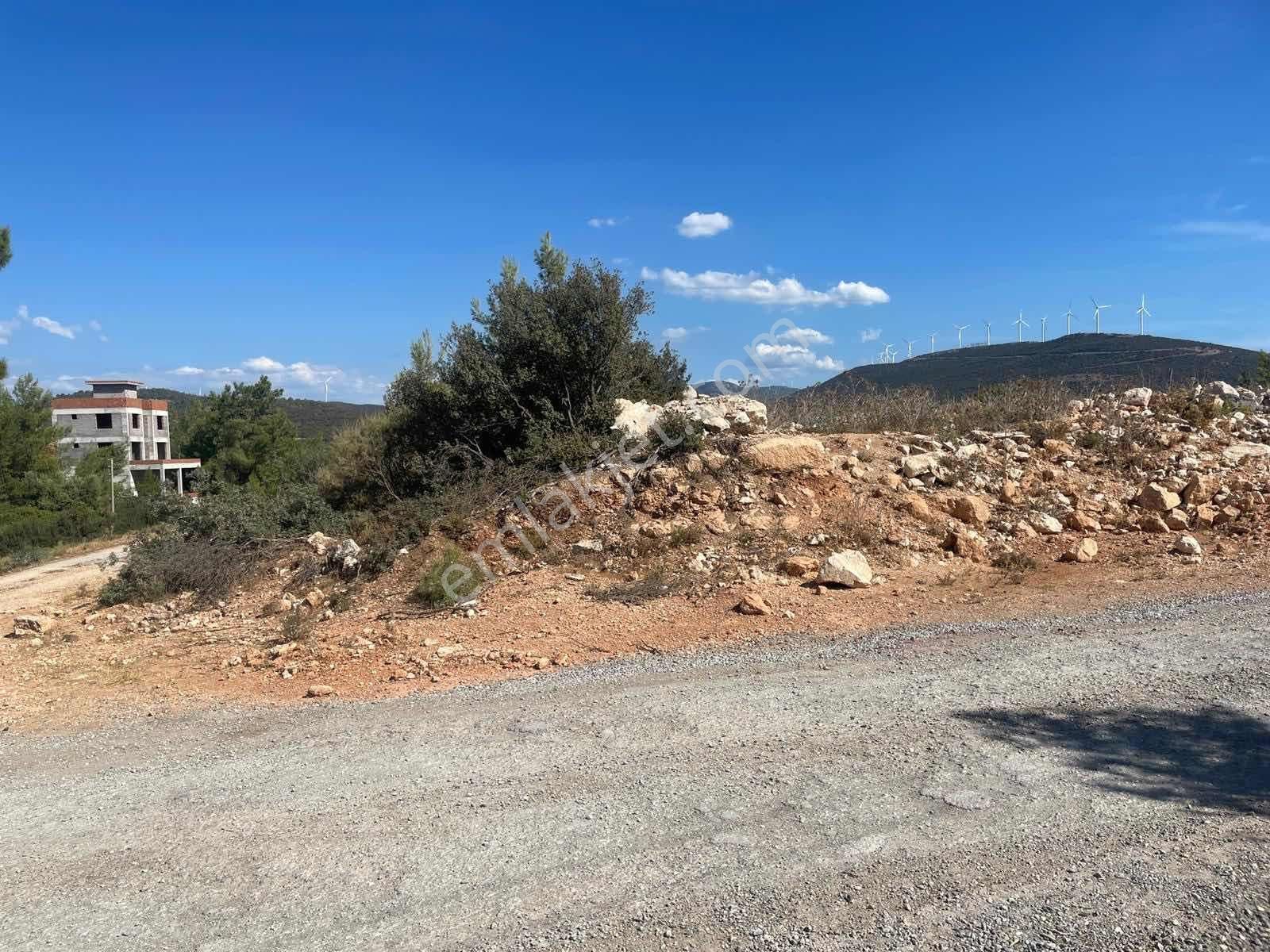 Didim Akyeniköy Bodrum Yolu Üzerinde Toki Evleri Yanında 600m2 - Görsel 6