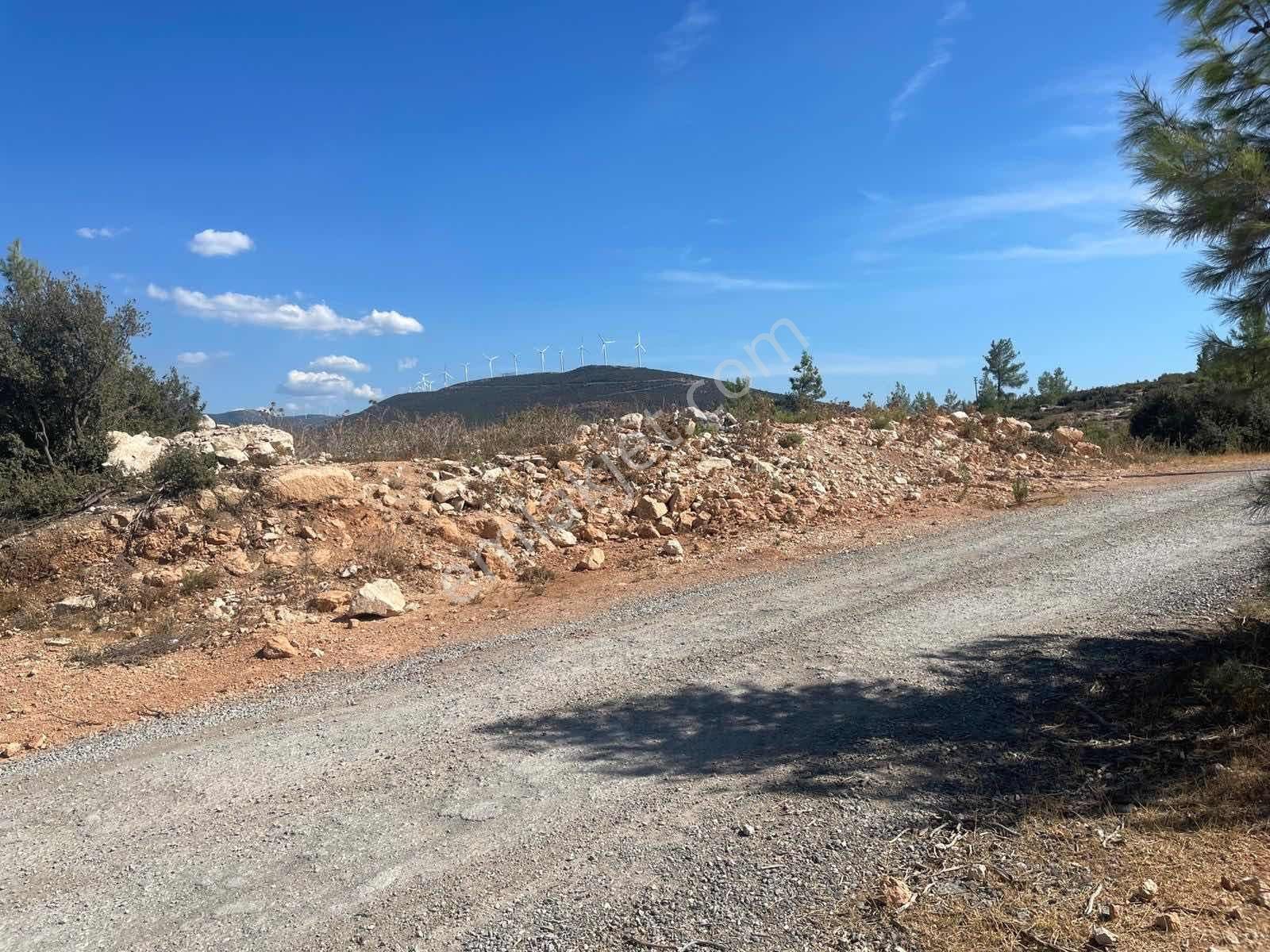 Didim Akyeniköy Bodrum Yolu Üzerinde Toki Evleri Yanında 600m2 - Görsel 2