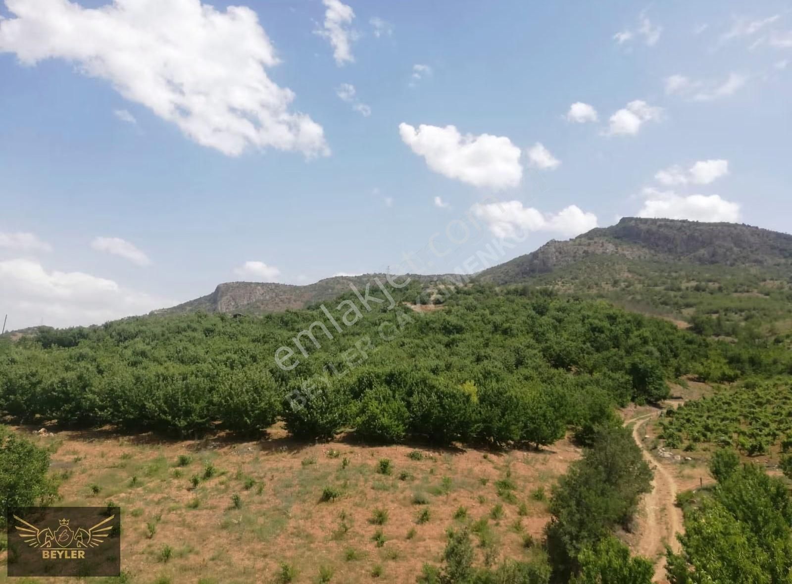 Konya Hadim Bademli'de Satılık 14.000m2 Bahçe - Görsel 4