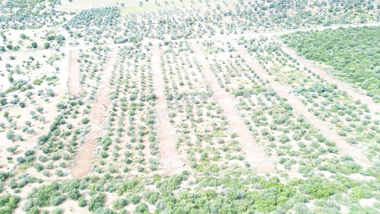 Yeşiltepe Zümrüttepeye Komşu Satılık Hobi Bahçeleri - Görsel 3