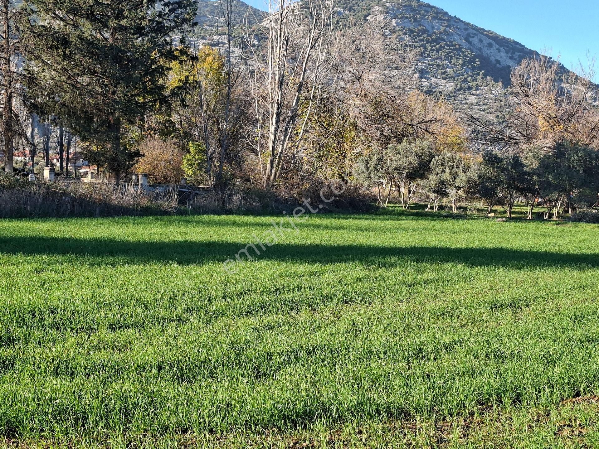 Acil Satılık Müstakil Tapulu Tarla - Görsel 4