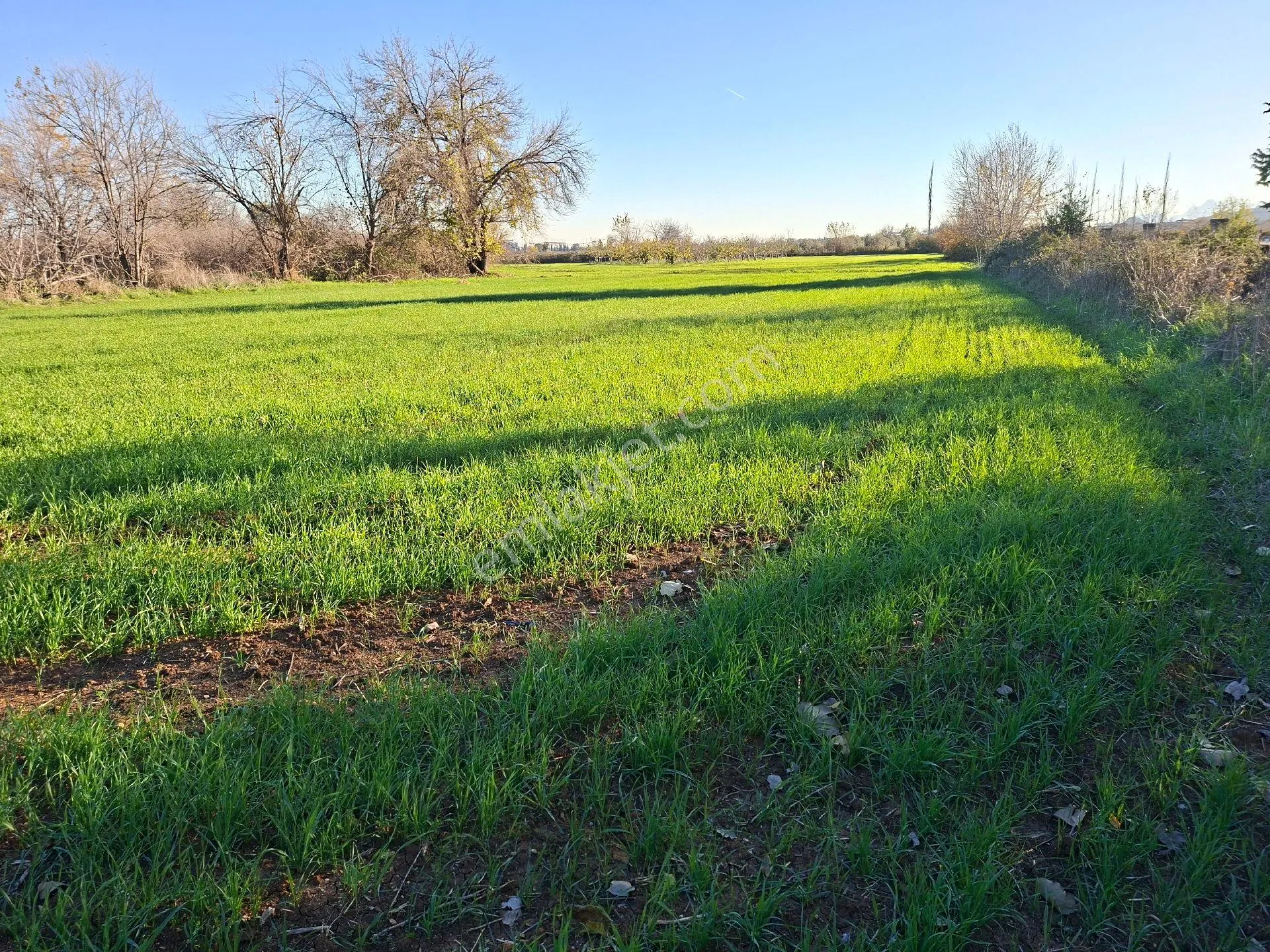 Acil Satılık Müstakil Tapulu Tarla - Görsel 12