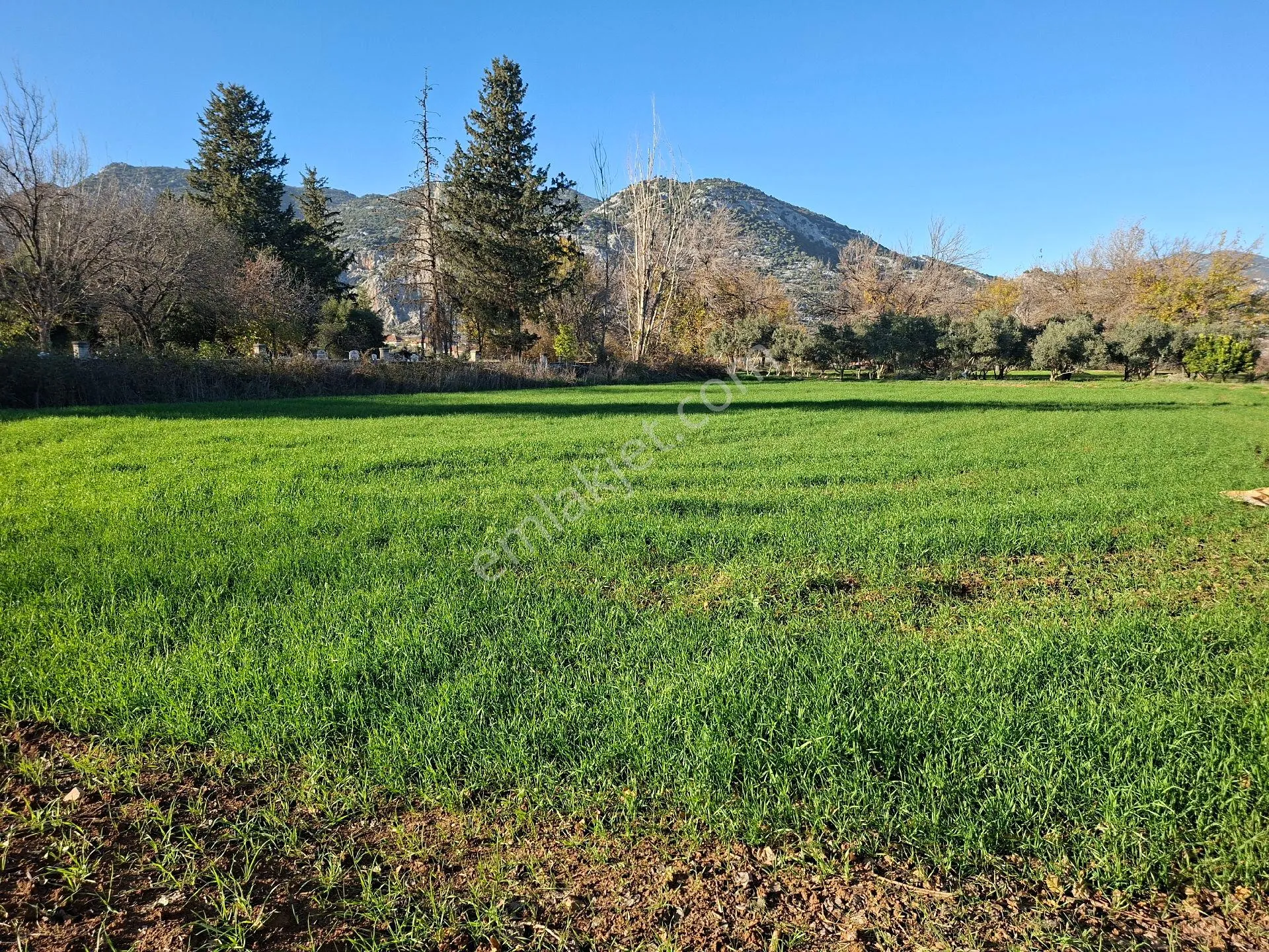 Acil Satılık Müstakil Tapulu Tarla - Görsel 8