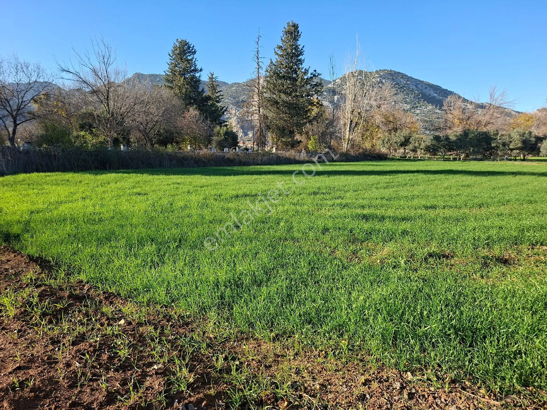 Acil Satılık Müstakil Tapulu Tarla - Görsel 7