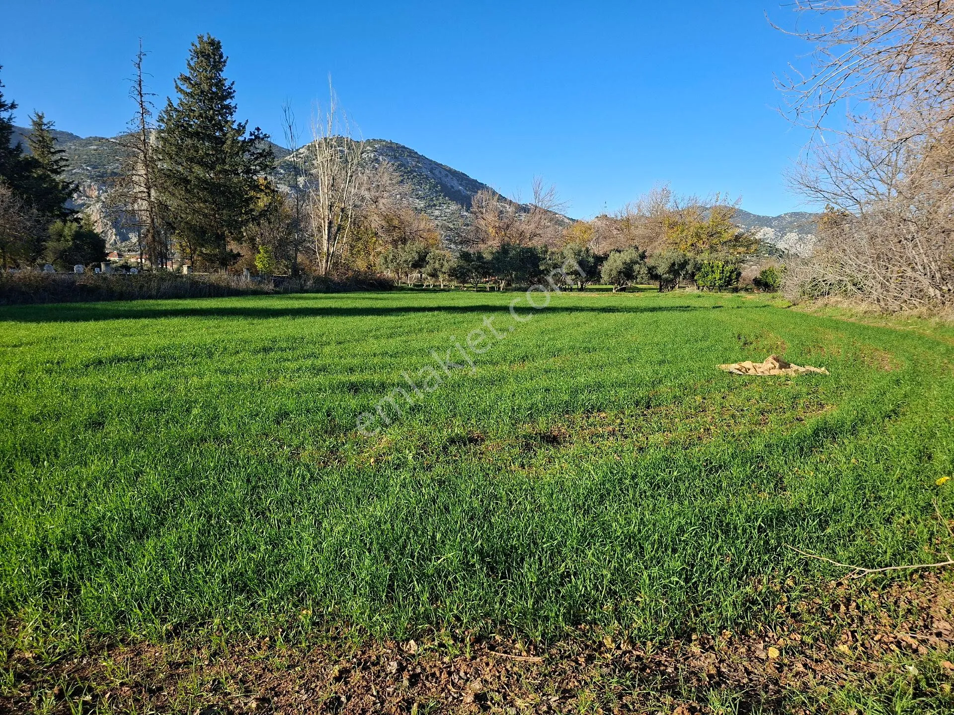 Acil Satılık Müstakil Tapulu Tarla - Görsel 9