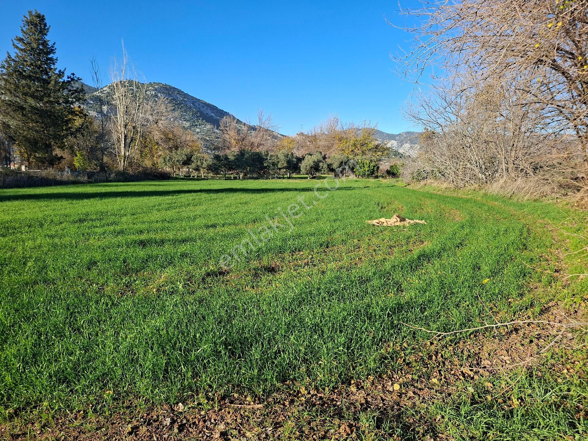 Acil Satılık Müstakil Tapulu Tarla - Görsel 10