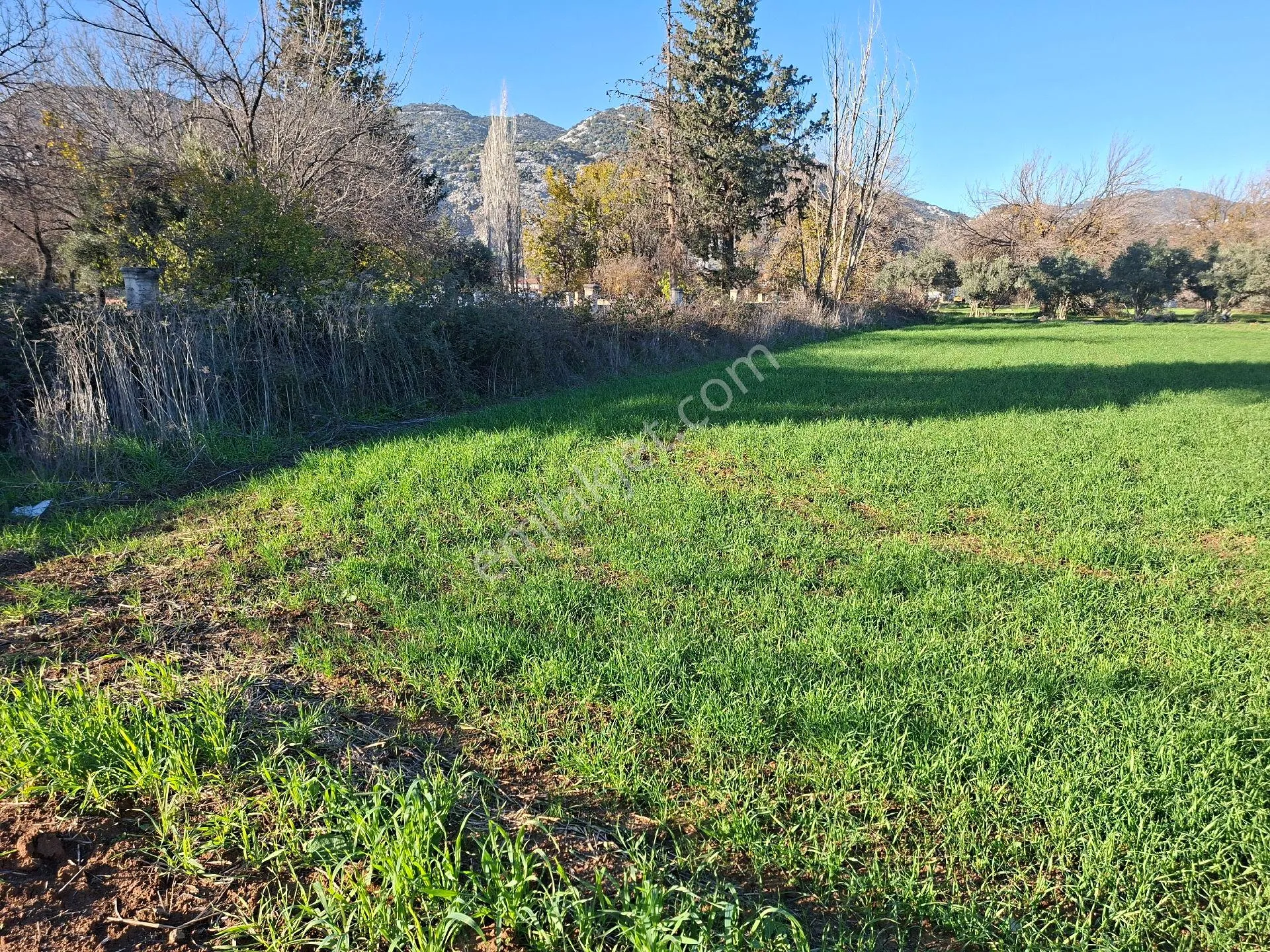 Acil Satılık Müstakil Tapulu Tarla - Görsel 17