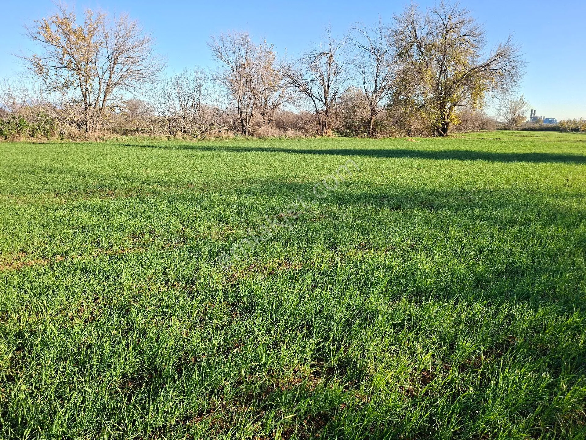 Acil Satılık Müstakil Tapulu Tarla - Görsel 15