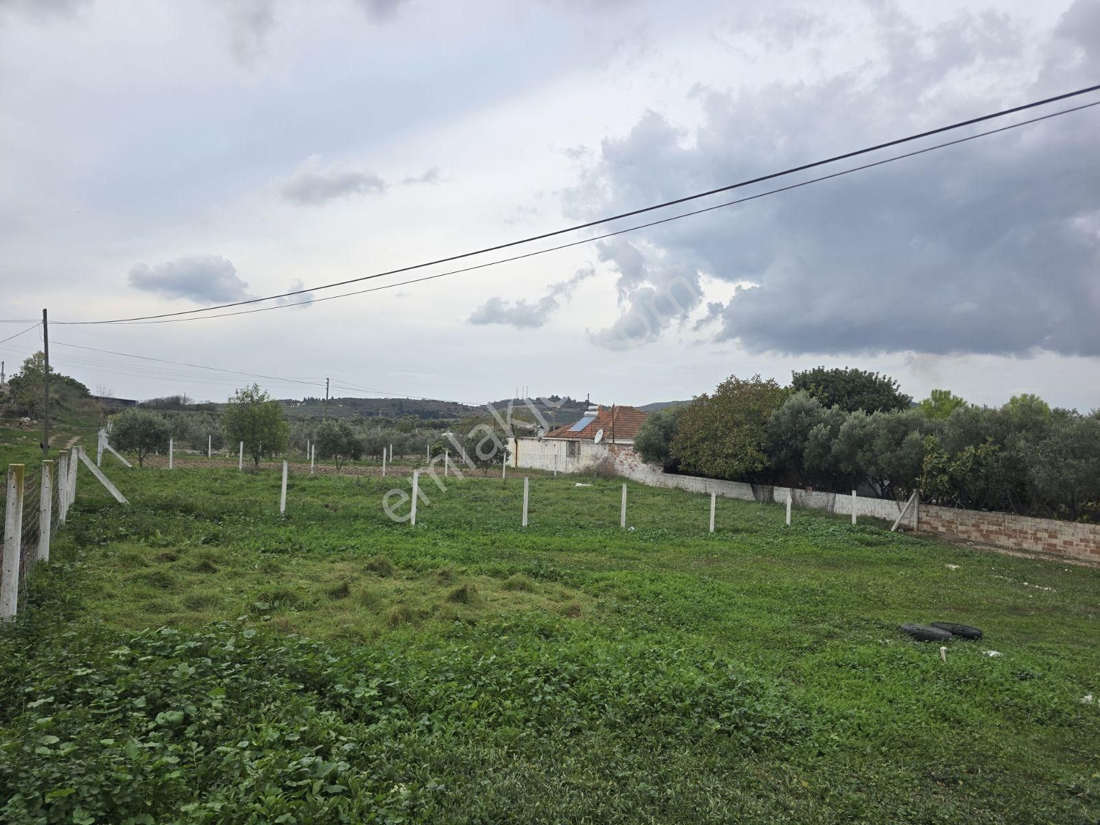 Didim Akköy'de 2 Villalık Satılık Arsa - Görsel 4