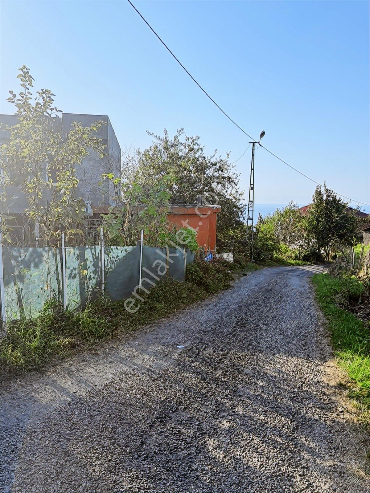 Giresun Görele Karaburunda Ev Ve Fındık Bahçesi - Görsel 2