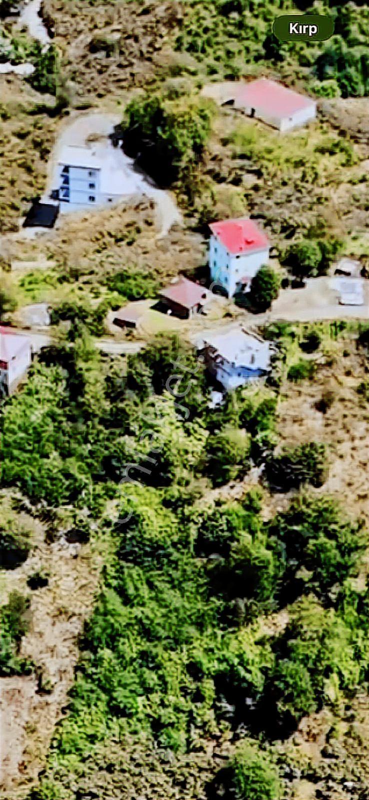 Giresun Görele Karaburunda Ev Ve Fındık Bahçesi - Görsel 24