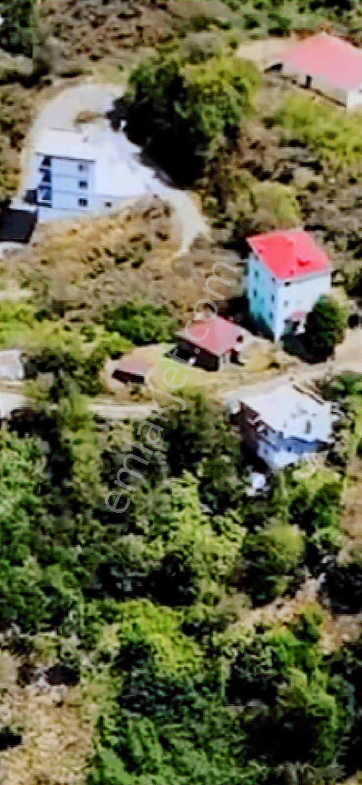 Giresun Görele Karaburunda Ev Ve Fındık Bahçesi