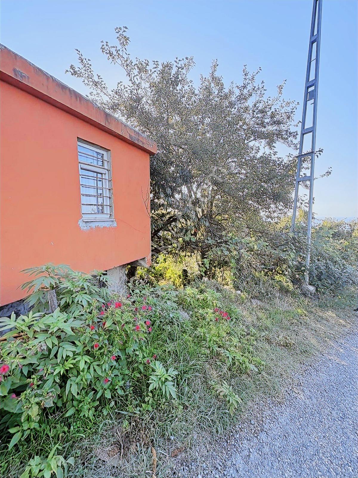 Giresun Görele Karaburunda Ev Ve Fındık Bahçesi - Görsel 25