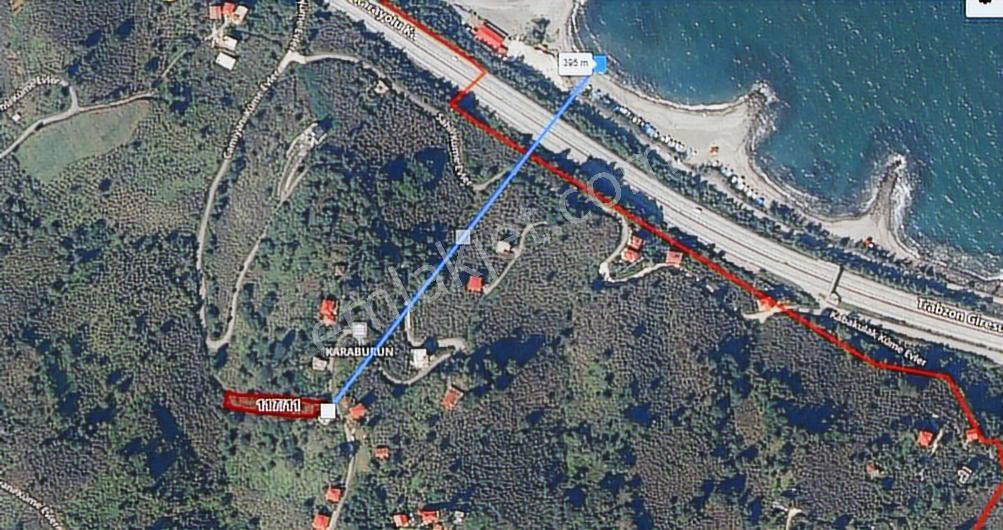 Giresun Görele Karaburunda Ev Ve Fındık Bahçesi - Görsel 20