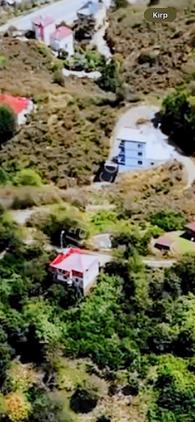 Giresun Görele Karaburunda Ev Ve Fındık Bahçesi - Görsel 15